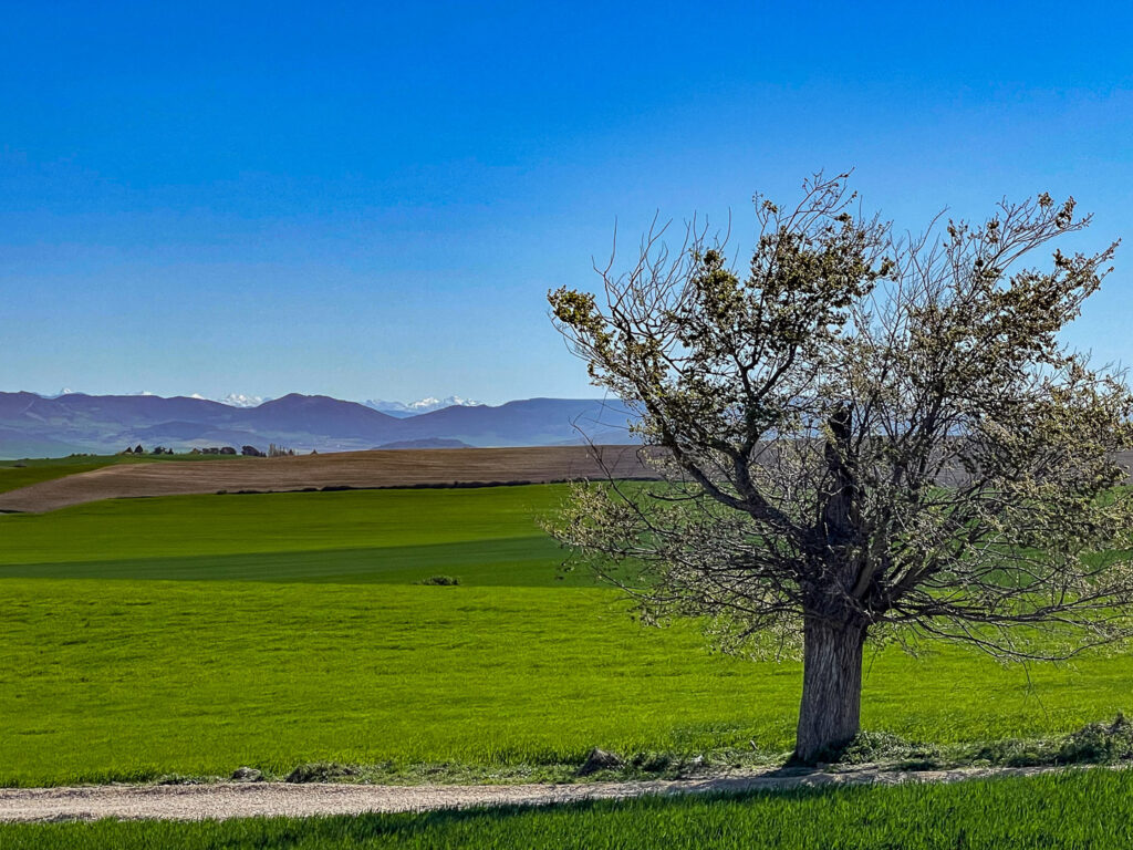 Aus der schönen Stadt Pamplona über tolle Landschaft hinauf auf einen Berg mit ordentlich Wind