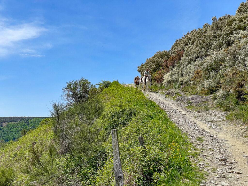 Reiter auf dem Pilgerweg
